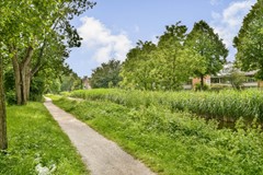 Van Vollenhovenplein 79 - 33.jpg